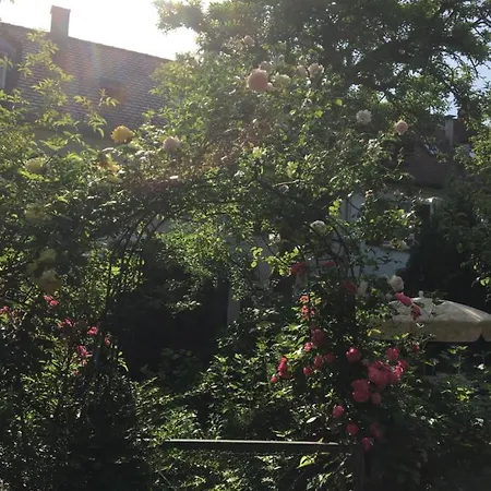Vintage-mansarde Uber Wilden Garten * Stuttgart